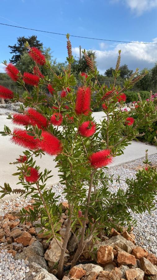 Villa Lp Kokkino Chorio Bagian luar foto